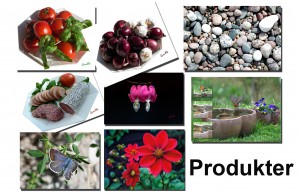 A14_produkter